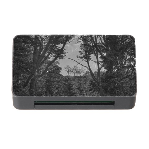 Patagonia Forest, Nahuel Huapi National Park, Rio Negro, Argentina Memory Card Reader with CF from ArtsNow.com Front