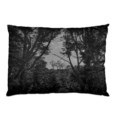 Patagonia Forest, Nahuel Huapi National Park, Rio Negro, Argentina Pillow Case (Two Sides) from ArtsNow.com Front