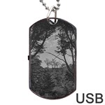 Patagonia Forest, Nahuel Huapi National Park, Rio Negro, Argentina Dog Tag USB Flash (One Side)