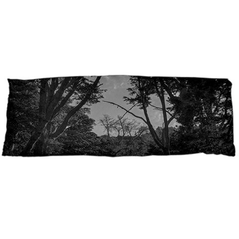 Patagonia Forest, Nahuel Huapi National Park, Rio Negro, Argentina One Side Body Pillow Cases from ArtsNow.com Body Pillow Case