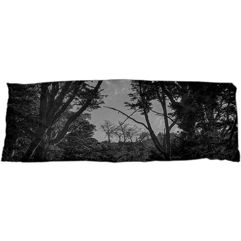 Patagonia Forest, Nahuel Huapi National Park, Rio Negro, Argentina 17 x47  Body Pillow Case Dakimakura (Two Sides) from ArtsNow.com Front