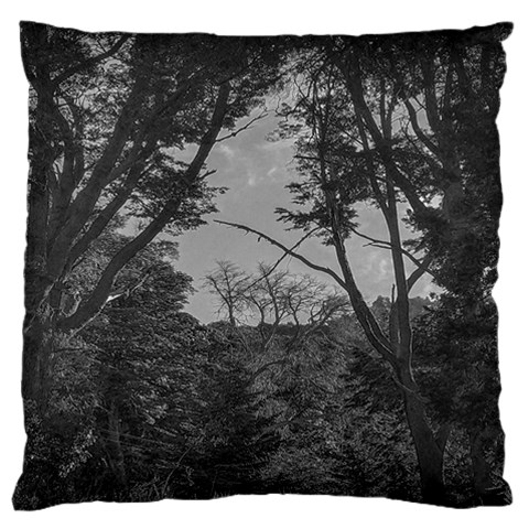 Patagonia Forest, Nahuel Huapi National Park, Rio Negro, Argentina Large Cushion Case (Two Sides) from ArtsNow.com Front