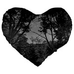 Patagonia Forest, Nahuel Huapi National Park, Rio Negro, Argentina Large 19  Premium Heart Shape Cushions