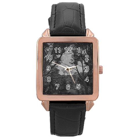 Patagonia Forest, Nahuel Huapi National Park, Rio Negro, Argentina Rose Gold Leather Watch  from ArtsNow.com Front