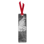 Patagonia Forest, Nahuel Huapi National Park, Rio Negro, Argentina Small Book Marks