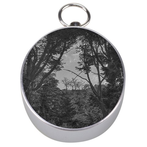 Patagonia Forest, Nahuel Huapi National Park, Rio Negro, Argentina Silver Compasses from ArtsNow.com Front