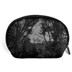 Patagonia Forest, Nahuel Huapi National Park, Rio Negro, Argentina Accessory Pouch (Large) from ArtsNow.com Front