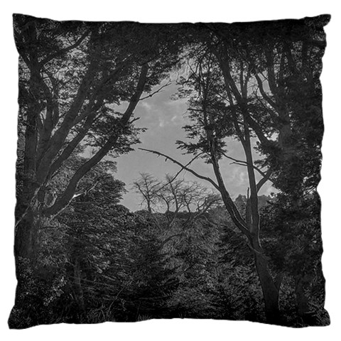 Patagonia Forest, Nahuel Huapi National Park, Rio Negro, Argentina Large Premium Plush Fleece Cushion Case (One Side) from ArtsNow.com Front