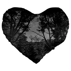 Patagonia Forest, Nahuel Huapi National Park, Rio Negro, Argentina Large 19  Premium Flano Heart Shape Cushions from ArtsNow.com Front