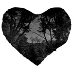 Patagonia Forest, Nahuel Huapi National Park, Rio Negro, Argentina Large 19  Premium Flano Heart Shape Cushions