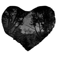 Patagonia Forest, Nahuel Huapi National Park, Rio Negro, Argentina Large 19  Premium Flano Heart Shape Cushions from ArtsNow.com Back