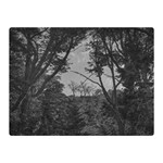 Patagonia Forest, Nahuel Huapi National Park, Rio Negro, Argentina Two Sides Premium Plush Fleece Blanket (Mini)