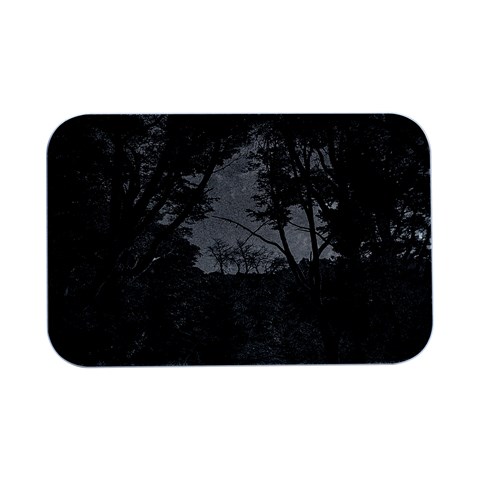 Patagonia Forest, Nahuel Huapi National Park, Rio Negro, Argentina Open Lid Metal Box (Silver)   from ArtsNow.com Front