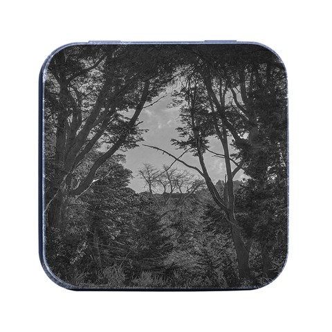 Patagonia Forest, Nahuel Huapi National Park, Rio Negro, Argentina Square Metal Box (Black) from ArtsNow.com Front