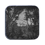 Patagonia Forest, Nahuel Huapi National Park, Rio Negro, Argentina Square Metal Box (Black)