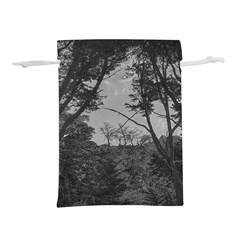 Patagonia Forest, Nahuel Huapi National Park, Rio Negro, Argentina Lightweight Drawstring Pouch (S) from ArtsNow.com Front