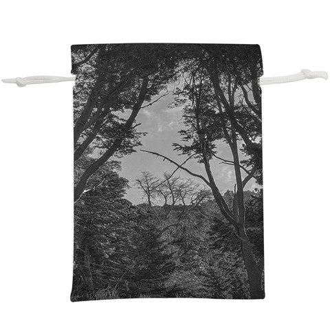 Patagonia Forest, Nahuel Huapi National Park, Rio Negro, Argentina Lightweight Drawstring Pouch (XL) from ArtsNow.com Front