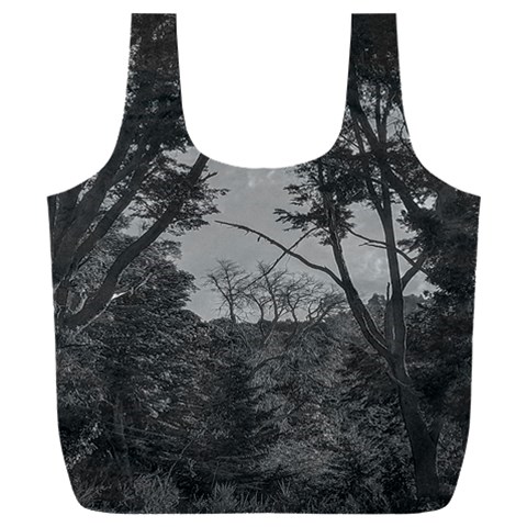 Patagonia Forest, Nahuel Huapi National Park, Rio Negro, Argentina Full Print Recycle Bag (XXL) from ArtsNow.com Front