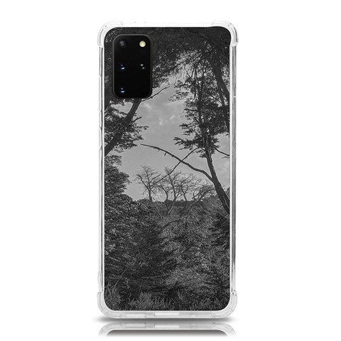 Patagonia Forest, Nahuel Huapi National Park, Rio Negro, Argentina Samsung Galaxy S20 Plus 6.7 Inch TPU UV Case from ArtsNow.com Front