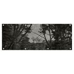 Patagonia Forest, Nahuel Huapi National Park, Rio Negro, Argentina Banner and Sign 8  x 3 