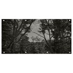 Patagonia Forest, Nahuel Huapi National Park, Rio Negro, Argentina Banner and Sign 8  x 4 