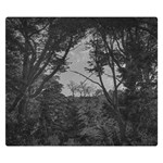 Patagonia Forest, Nahuel Huapi National Park, Rio Negro, Argentina Premium Plush Fleece Blanket (Small)