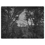 Patagonia Forest, Nahuel Huapi National Park, Rio Negro, Argentina Premium Plush Fleece Blanket (Extra Small)