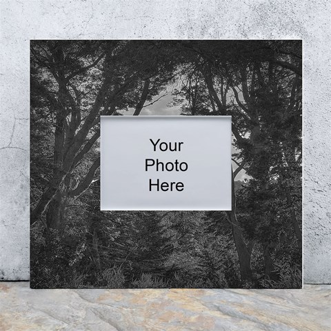 Patagonia Forest, Nahuel Huapi National Park, Rio Negro, Argentina White Wall Photo Frame 5  x 7  from ArtsNow.com Front