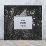 Patagonia Forest, Nahuel Huapi National Park, Rio Negro, Argentina White Wall Photo Frame 5  x 7 