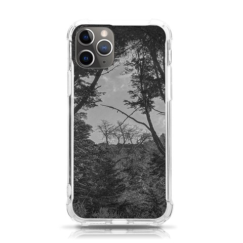 Patagonia Forest, Nahuel Huapi National Park, Rio Negro, Argentina iPhone 11 Pro 5.8 Inch TPU UV Print Case from ArtsNow.com Front