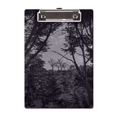 Patagonia Forest, Nahuel Huapi National Park, Rio Negro, Argentina A5 Acrylic Clipboard from ArtsNow.com Front