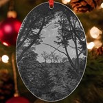 Patagonia Forest, Nahuel Huapi National Park, Rio Negro, Argentina UV Print Acrylic Ornament Oval