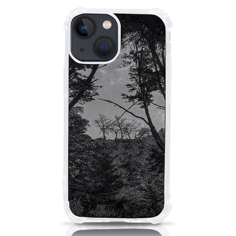 Patagonia Forest, Nahuel Huapi National Park, Rio Negro, Argentina iPhone 13 mini TPU UV Print Case from ArtsNow.com Front