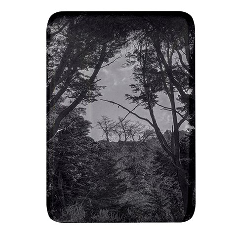 Patagonia Forest, Nahuel Huapi National Park, Rio Negro, Argentina Rectangular Glass Fridge Magnet (4 pack) from ArtsNow.com Front