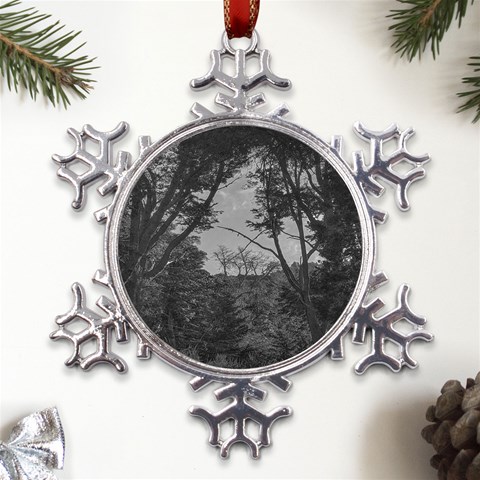 Patagonia Forest, Nahuel Huapi National Park, Rio Negro, Argentina Metal Large Snowflake Ornament from ArtsNow.com Front