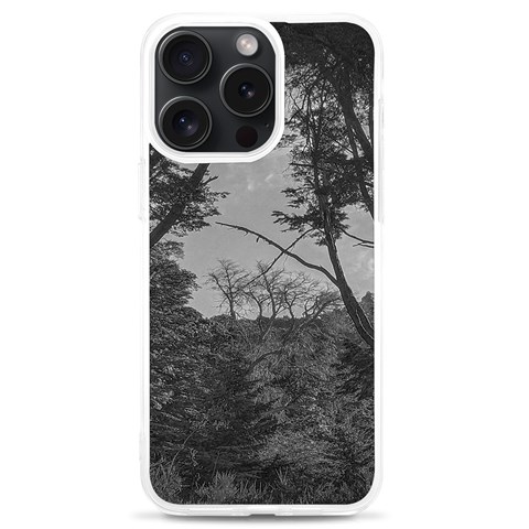 Patagonia Forest, Nahuel Huapi National Park, Rio Negro, Argentina iPhone 15 Pro Max TPU UV Print Case from ArtsNow.com Front