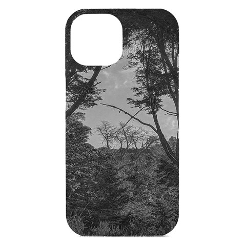 Patagonia Forest, Nahuel Huapi National Park, Rio Negro, Argentina iPhone 15 Black UV Print PC Hardshell Case from ArtsNow.com Front