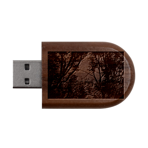 Patagonia Forest, Nahuel Huapi National Park, Rio Negro, Argentina Wood Oval USB Flash Drive from ArtsNow.com USB