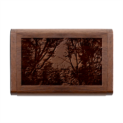 Patagonia Forest, Nahuel Huapi National Park, Rio Negro, Argentina Wood Oval USB Flash Drive from ArtsNow.com Box