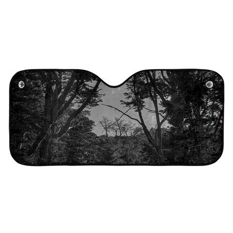 Patagonia Forest, Nahuel Huapi National Park, Rio Negro, Argentina Car Windshield Sunshade from ArtsNow.com Front