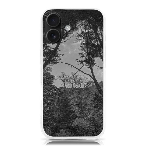 Patagonia Forest, Nahuel Huapi National Park, Rio Negro, Argentina iPhone 16 TPU UV Print Case from ArtsNow.com Front