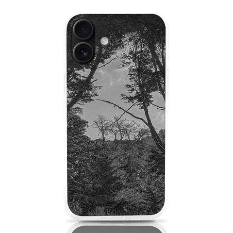 Patagonia Forest, Nahuel Huapi National Park, Rio Negro, Argentina iPhone 16 Plus TPU UV Print Case from ArtsNow.com Front