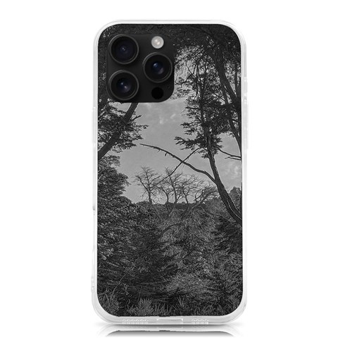 Patagonia Forest, Nahuel Huapi National Park, Rio Negro, Argentina iPhone 16 Pro Max TPU UV Print Case from ArtsNow.com Front