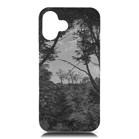 Patagonia Forest, Nahuel Huapi National Park, Rio Negro, Argentina iPhone 16 Plus Black UV Print PC Hardshell Case from ArtsNow.com Front