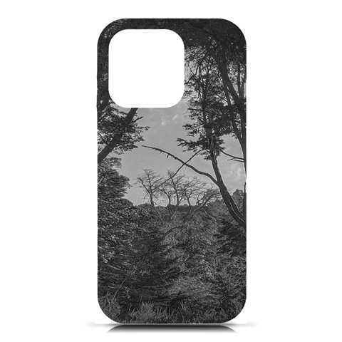 Patagonia Forest, Nahuel Huapi National Park, Rio Negro, Argentina iPhone 16 Pro Black UV Print PC Hardshell Case from ArtsNow.com Front