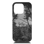 Patagonia Forest, Nahuel Huapi National Park, Rio Negro, Argentina iPhone 16 Pro Max Black UV Print PC Hardshell Case