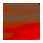 Crimson Skys Medium Glasses Cloth