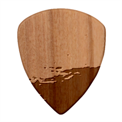 Crimson Skys Guitar Shape Wood Guitar Pick Holder Case And Picks Set from ArtsNow.com Pick