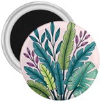 Illustrations Plants Nature Leaves 3  Magnets