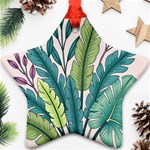 Illustrations Plants Nature Leaves Ornament (Star)